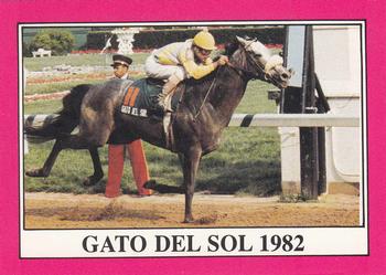 1991 Horse Star Kentucky Derby #108 Gato Del Sol Front